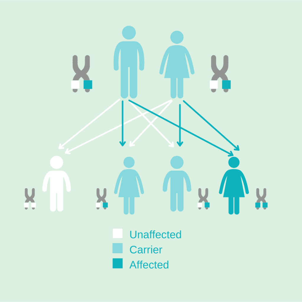 Autosomal Recessive Inheritance