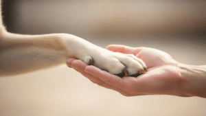 Canine Companions and Their Impact on Special Needs Families