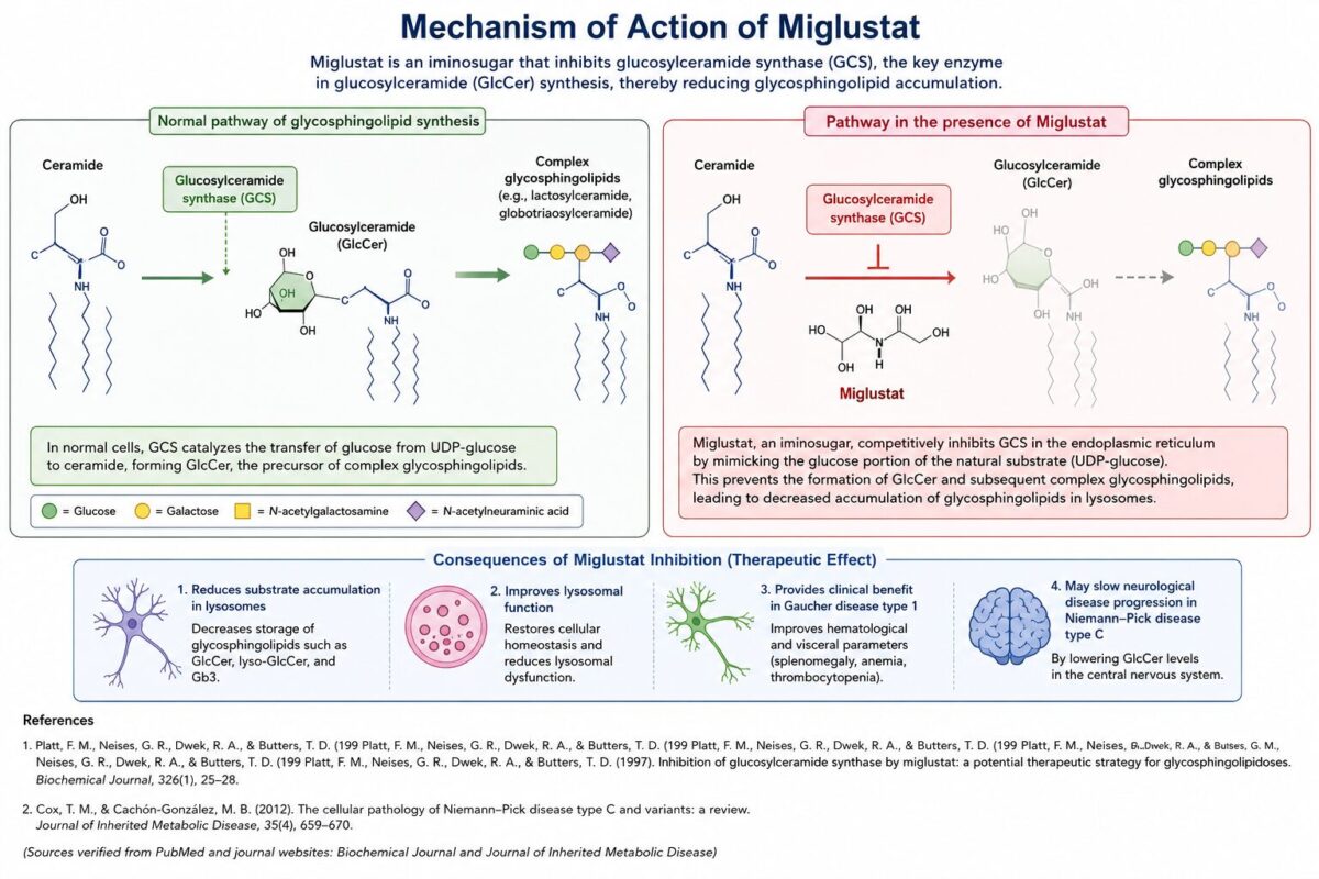 Cover of the Miglustat for Families guide, Family Resource Series version 2, August 2026
