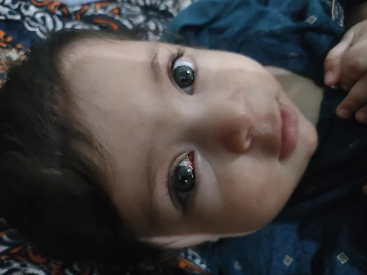 A close-up photo of Ayesha lying down