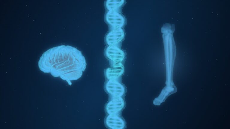 Glowing blue brain, DNA double helix, and leg skeleton on a dark navy background, representing the GLB1 gene spectrum from GM1 gangliosidosis to Morquio B disease